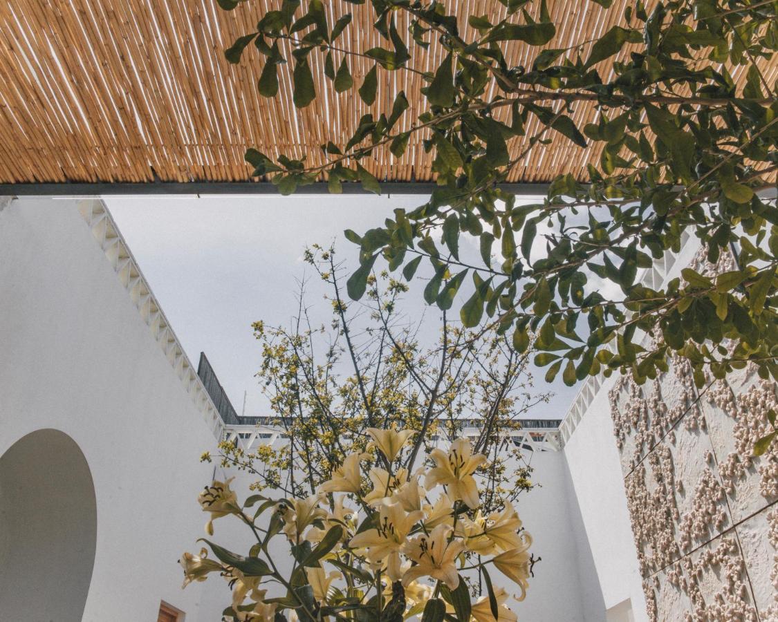 Casa Carmen Morelos Oaxaca Екстер'єр фото